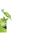 Klien Serpong Garden